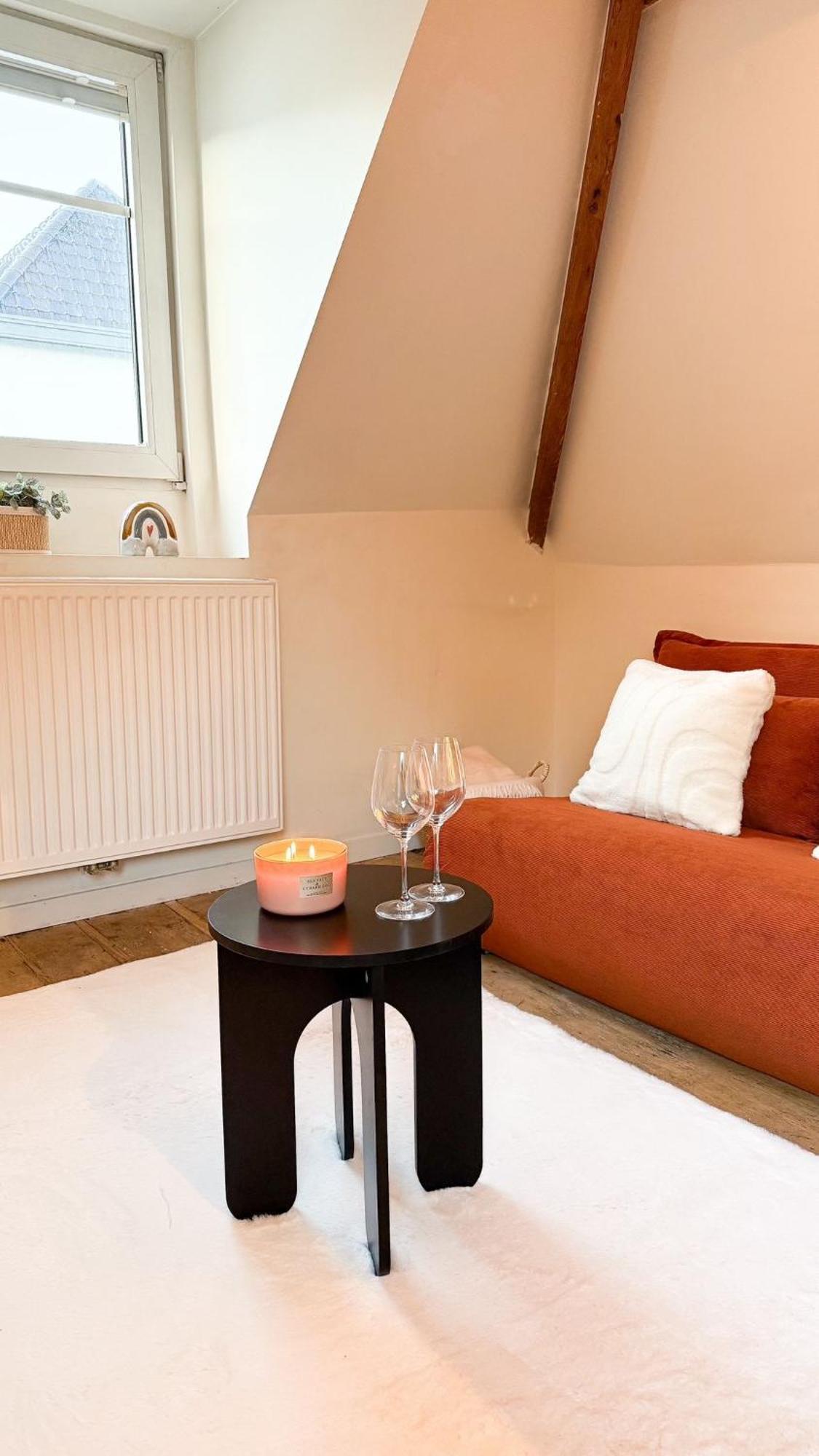 Appartement Cosy Authentiek Penthouse Anvers