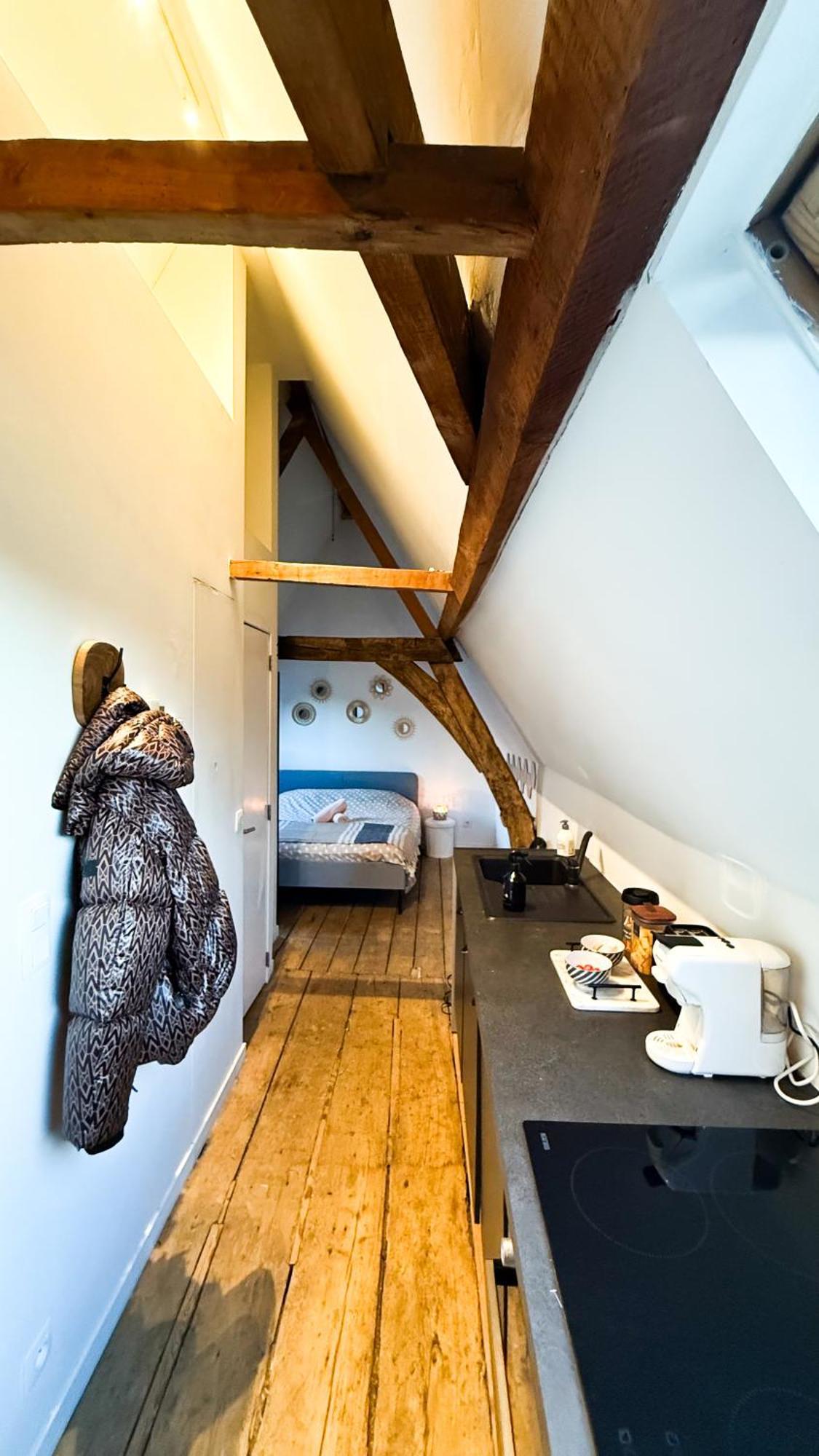 Cosy Authentiek Penthouse * Antwerpen